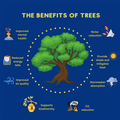 6 Ways Trees Benefit People .